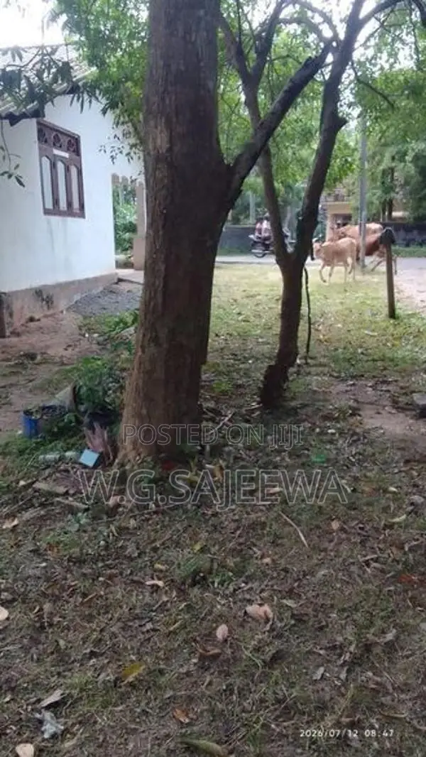 Land with House for Sale in Adiambalama