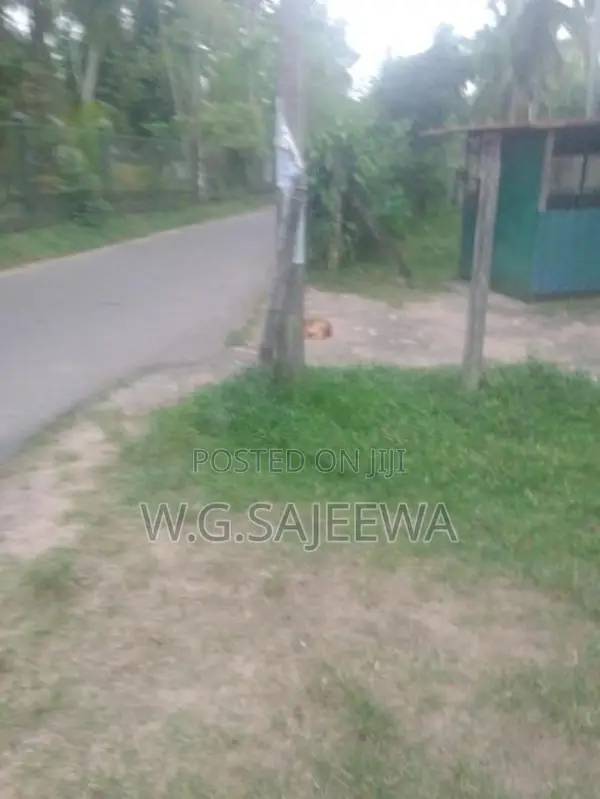 Land with House for Sale in Adiambalama