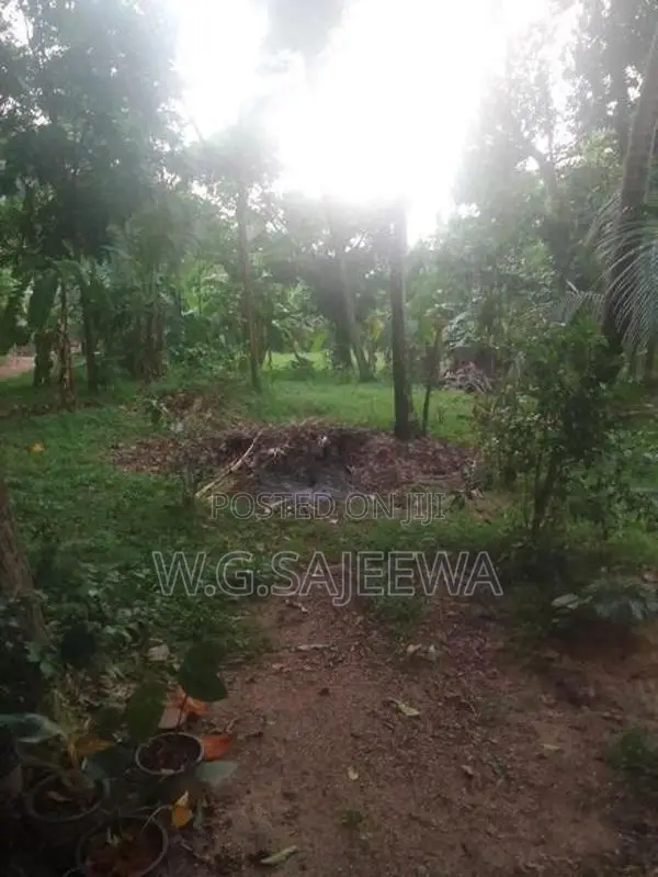 Land with House for Sale in Adiambalama