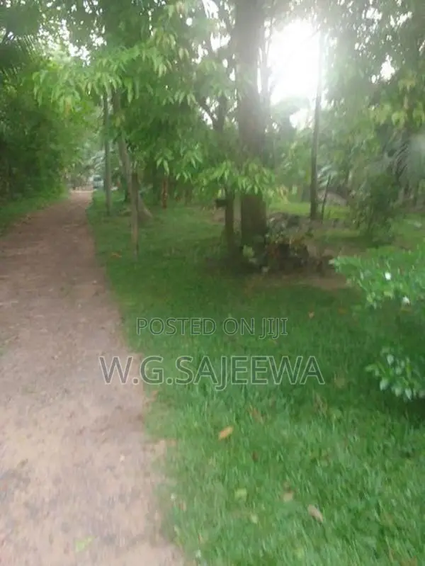 Land with House for Sale in Adiambalama