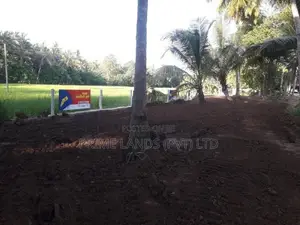 සියලු පහසුකම් සහිතව පදිංචියට ඉඩමක් බලල්ල