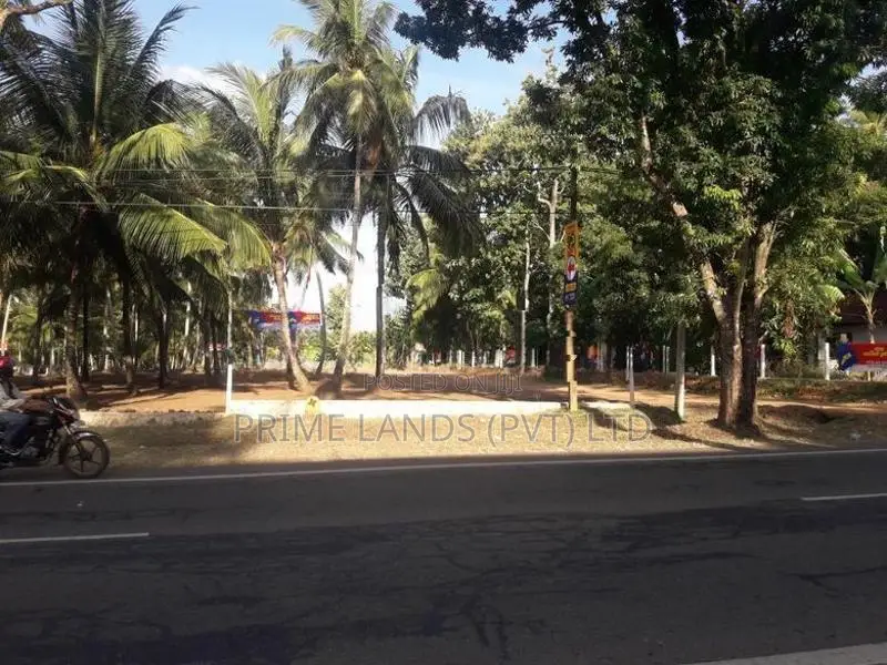 සියලු පහසුකම් සහිතව පදිංචියට ඉඩමක් බලල්ල
