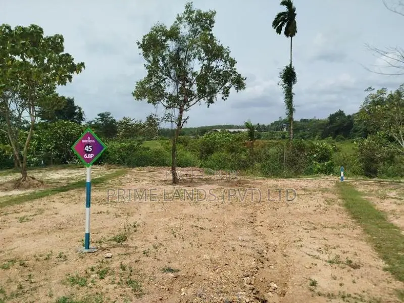 තලගල බෙරුකැටිය බිම් කොටස් විකිණීමට