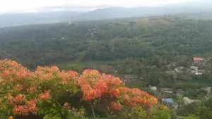 Land for Sale in Talwattha