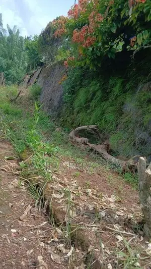 Land for Sale in Talwattha