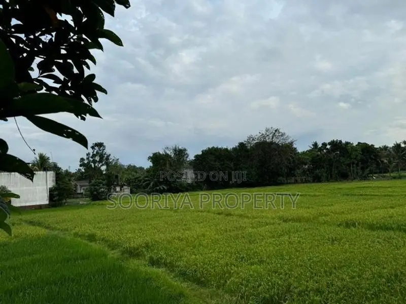 Spacious House for Sale in Kottawa