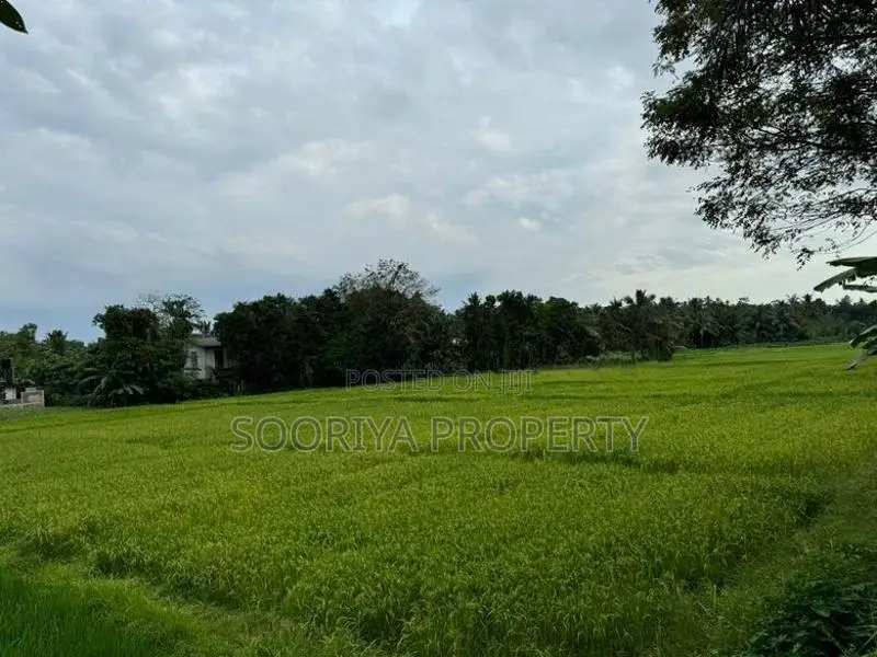 House for Sale in Piliyandala