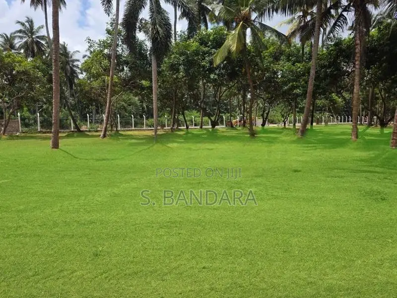 Mellawagedara Valuable Land Plots for Sale