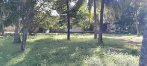 Land for Sale in Wadduwa – Thalpitiya