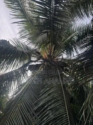 Land for Sale Batticaloa