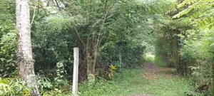 Villa land for sale in Benthota