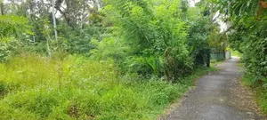 Villa land for sale in Benthota