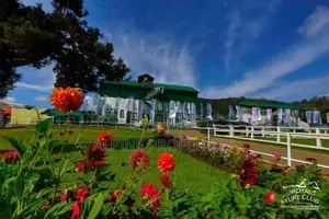 Commercial Property for Sale – Nuwara Eliya