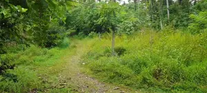 Villa land for sale in Benthota