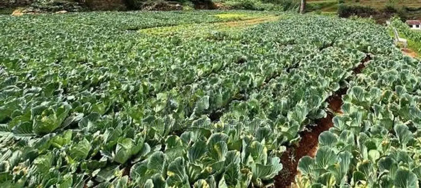 Commercial Property for Sale – Nuwara Eliya