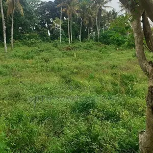 පර්. 80, හයිලෙවල් පාර, ගොඩගම, හෝමාගම