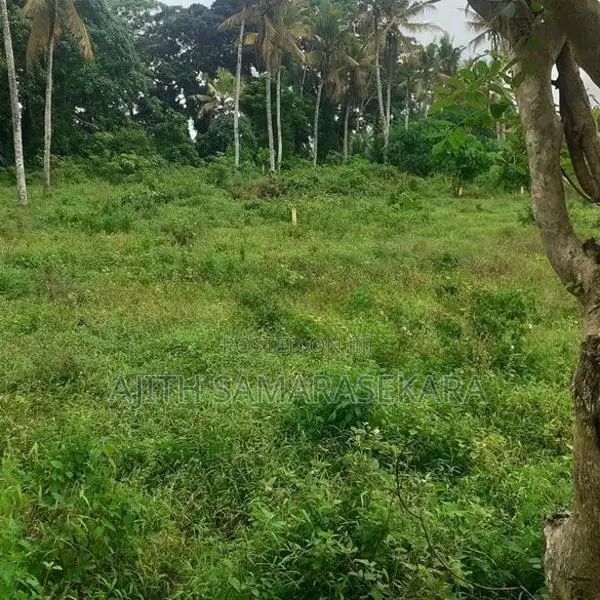පර්. 80, හයිලෙවල් පාර, ගොඩගම, හෝමාගම