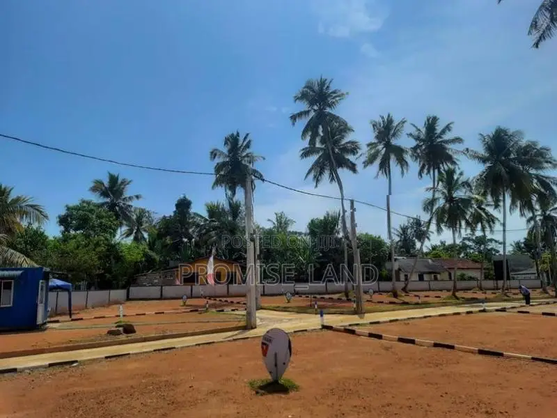 Land Sale in Walana M20