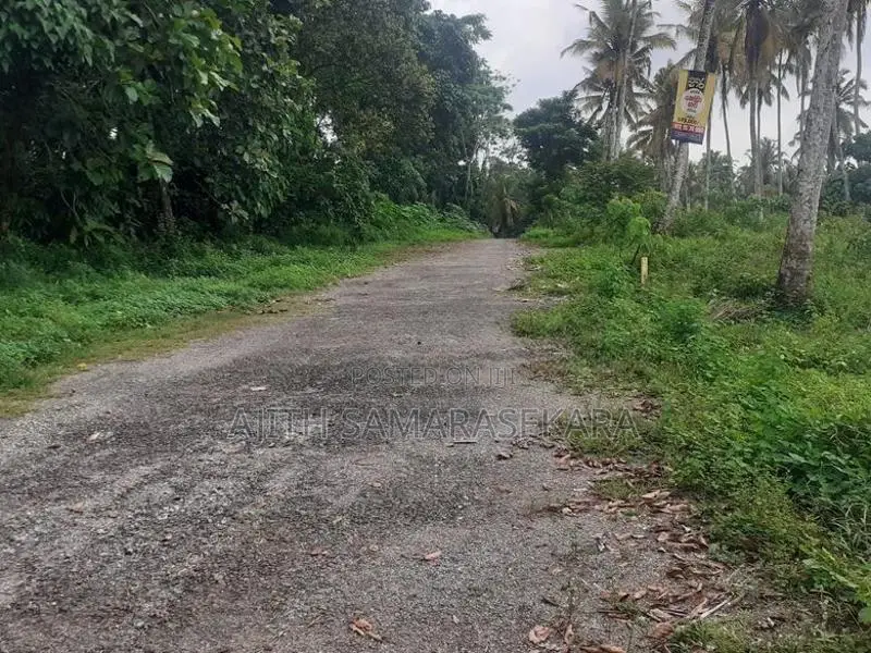 පර්. 80, හයිලෙවල් පාර, ගොඩගම, හෝමාගම