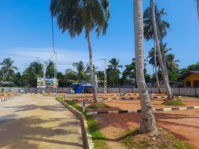 Land Sale in Walana M20