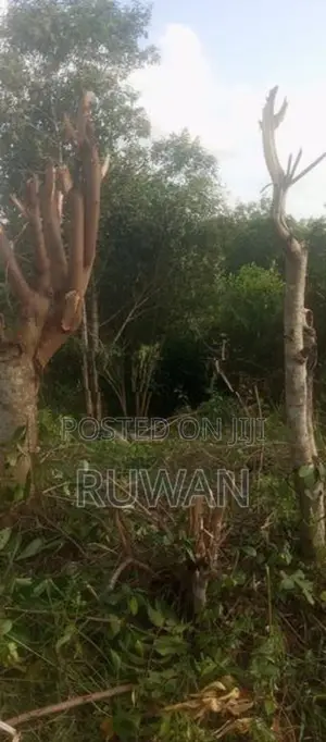 කළුතර, සේරුපිට - ඉඩම