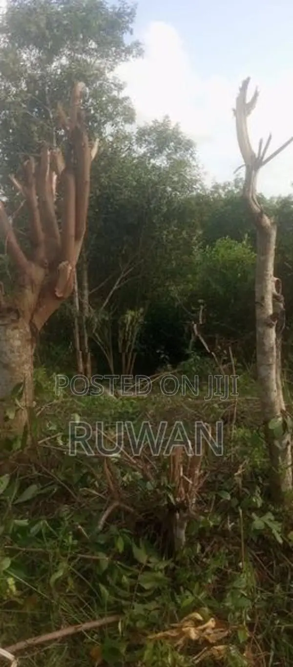 කළුතර, සේරුපිට - ඉඩම