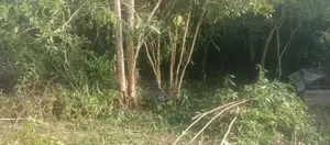 කළුතර, සේරුපිට - ඉඩම