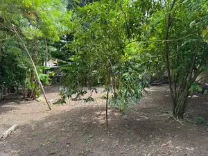 Superb Land for Sale in Piliyandala Bokundara