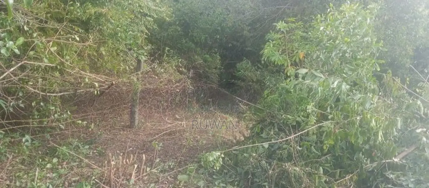 කළුතර, සේරුපිට - ඉඩම
