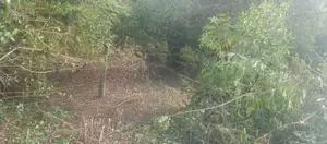 කළුතර, සේරුපිට - ඉඩම