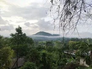 ඉංගිරිය සුන්දර පරිසරයක කඳු මුදුනේ 12.5 පර්චස් ඉඩමක් විකිනීමට