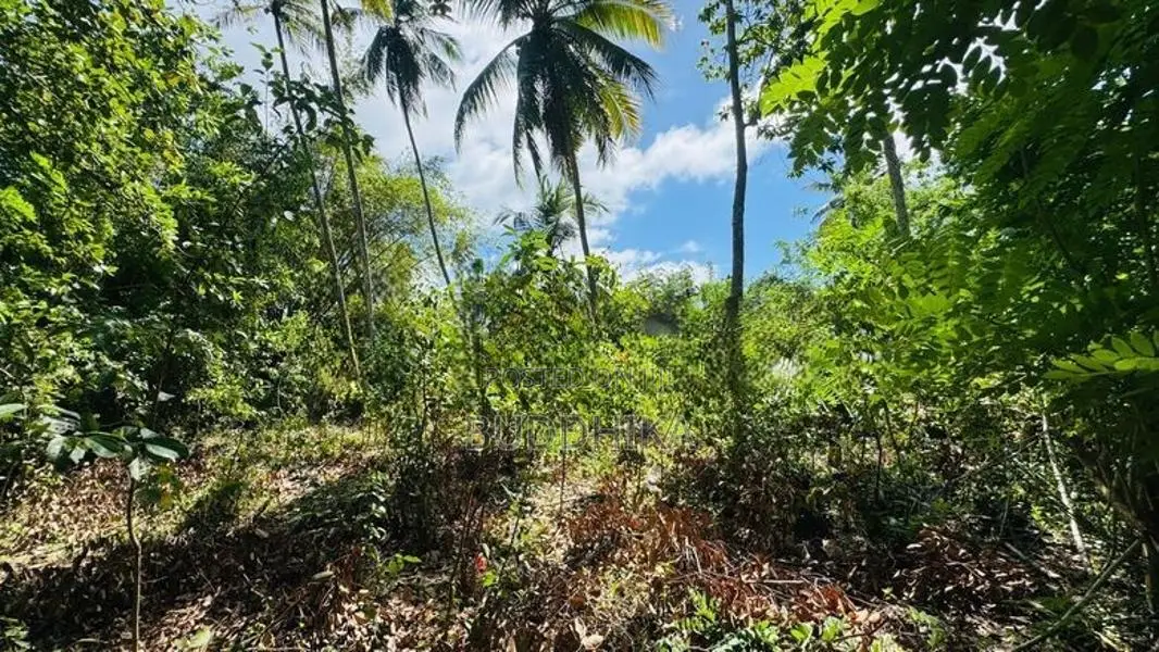 Land For Sale In Hikkaduwa