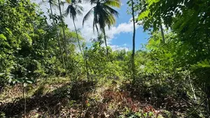Land For Sale In Hikkaduwa