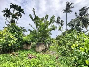 Land For Sale In Hikkaduwa