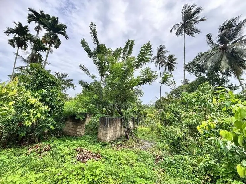 Land For Sale In Hikkaduwa