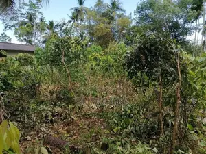 Land For Sale In Hikkaduwa