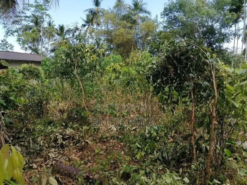 Land For Sale In Hikkaduwa