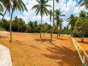 Land for Sale Near Nittambuwa u02