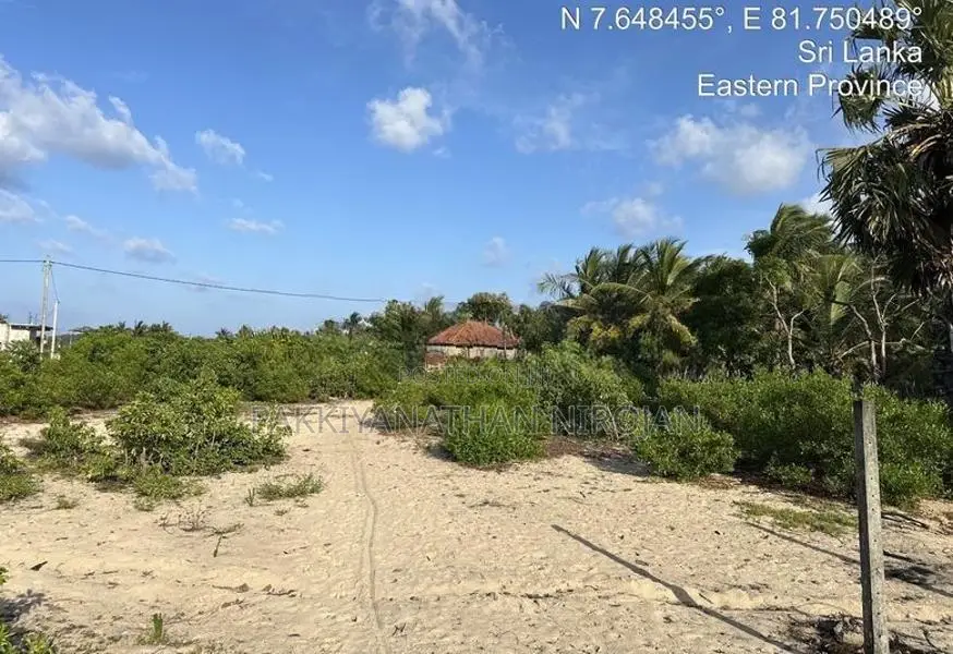 Land For Sale in Thalankudah