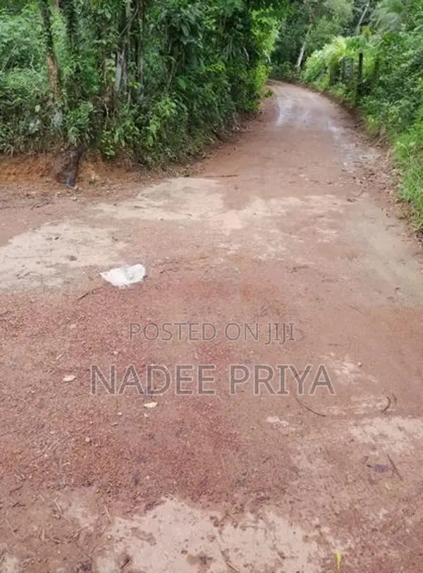 Land Sale in Pugoda