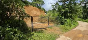 නිසංසල පරිසරයක සුන්දර වෙල්යායකට මුහුණලා අගනා බිම් කොටස විකිනීමට .