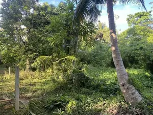 Land For Sale in Ahangama