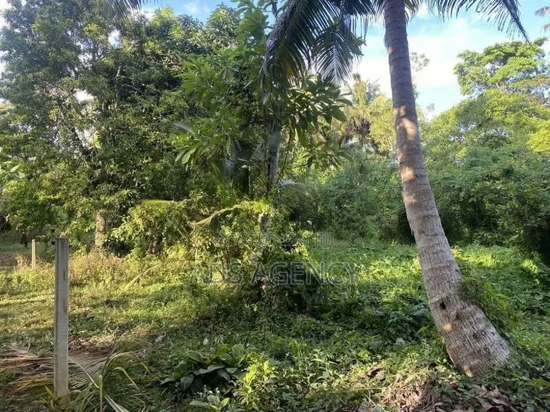 Land For Sale in Ahangama