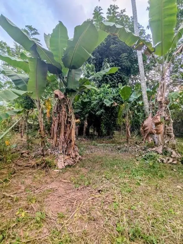 A Valuable Land for Sale in Mirigama