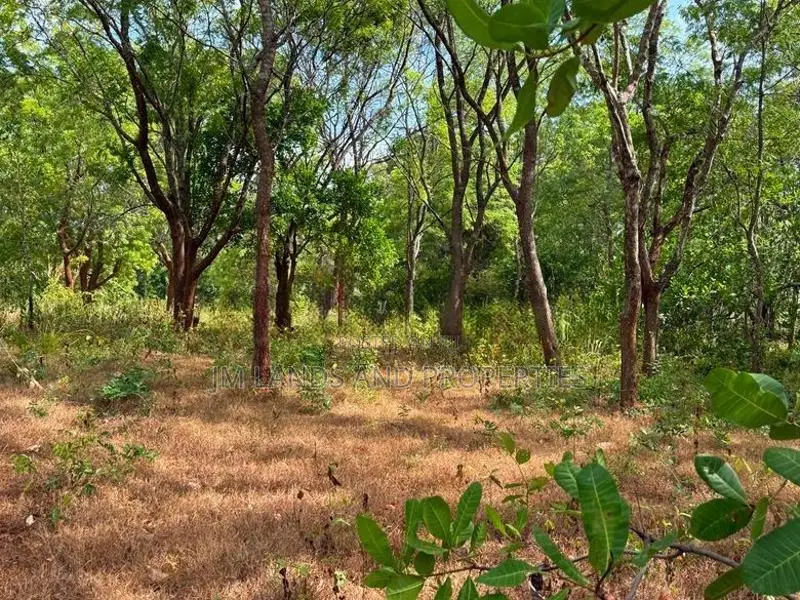 හබරණ අක්කර 4ක වටිනා ඉඩමක් විකිණීමට