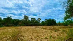 පදිංචියට හෝ වගාවට සුදුසු අක්කර 1ක ඉඩමක් විකිණීමට - මහියංගනය