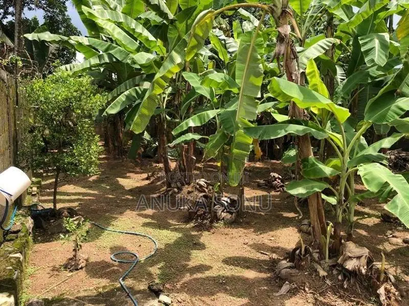 Land for Sale in Kindelpitiya Kesbewa