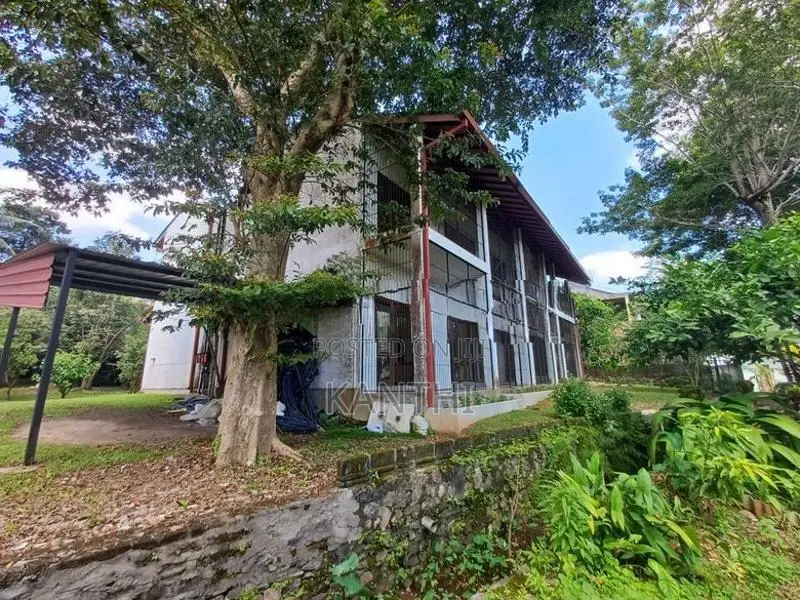 House for Rent in Boralesgamuwa