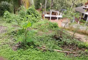 Land Sale in Pugoda