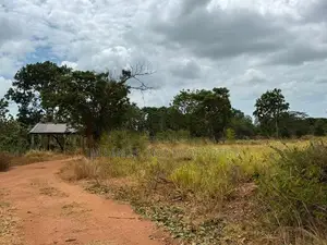 හබරණ – සෙවණගම ප්‍රදේශයෙන් අගනා ඉඩමක් විකිණීමට